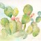 Cactus Garden I Poster Print by Cynthia Coulter - Item # VARPDXRB12061CC